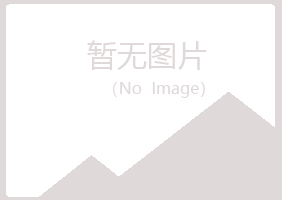 革吉县字迹零售有限公司